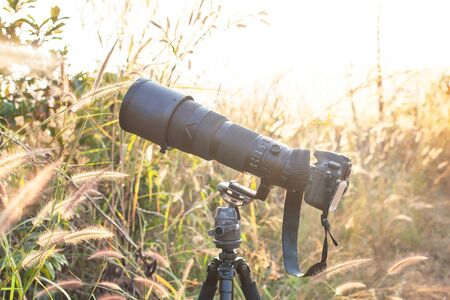 Black super telephoto lens and digital camera body on tripod in wild grass flower field, transparent...