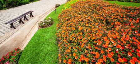 Bright Impatiens flower garden with stone path and wooden chair, colorful botany garden in springtime. Selective focus.の写真素材