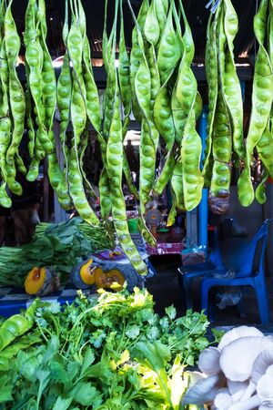 Fresh Bitter Bean or Parkia speciosa hanging for sale at daily market in Narathiwat, Southern Thailand.の写真素材