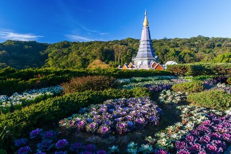 Scenery ornamental garden and elegant pagoda on the mountain peak, evergreen forest in the background, tourist attractions in Doi Inthanon, Chiang Mai, North Thailand.の写真素材