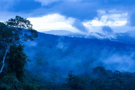 Magical aerial view of tropical rainforest in the morning misty, gently blue fog covered ancient...