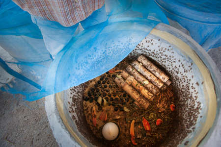 An Asian farmer in his cricket farm, a colony of crickets in the asbestos cement pipes, an organic insect farm in North Thailand. Top view. Focus on crickets.の写真素材