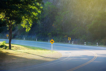 An empty curve forest road and yellow road warning signs at sunrise. Focus on the asphalt road.の写真素材
