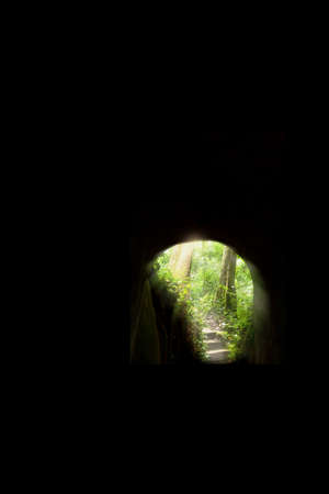 Mystic cave or tunnel up to a deep forest, sunrise shines onto ancient staircase, view from inside tunnel looking out. Focus on trees.の写真素材