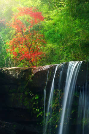 Autumn waterfall and red maple tree blurred in the background. Long exposure. Soft focus on waterfall.の写真素材