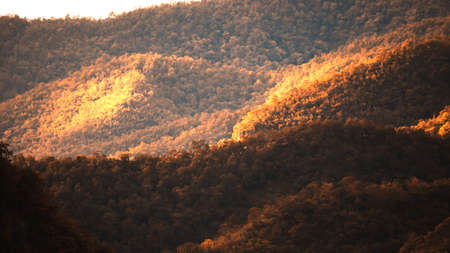 Landscape of mountains forest in winter, sunbeam shines onto colourful forest in the morning, abstract shade and shadow. Holidays, Vacations concepts. Selective focus.の写真素材