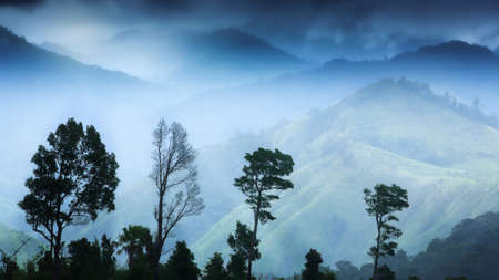 Dramatic sunrise sky over Himalayas mountain range. Dark rain clouds in the background. Environment concept. Focus on wild trees in the foreground.の写真素材