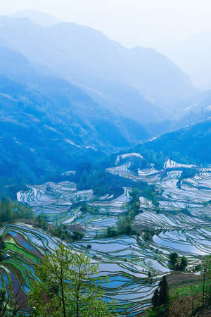 Stunning mountains view of Yuanyang Rice Terraces in the morning mist. Abstract surface and layers of rice terraces. Duoyishu, Yunnan, China.の写真素材
