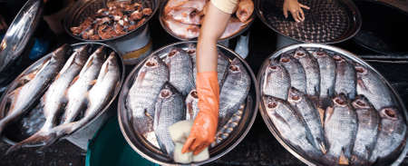 Female Thai vendor wearing latex gloves is cleaning freshwater fish in stainless steel try at a local wet market. East Thailand. Top view. Food cultures.の写真素材