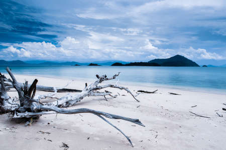 Seascape view of the logs beach with tropical islands in the blue sea. Empty beach in monsoon season. Japanese Islands, Ranong, Thailand.の写真素材