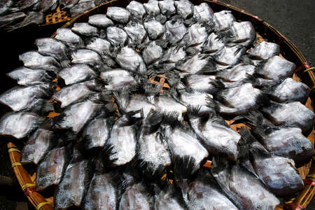Salted Gourami fish lay on basket in the sun for natural drying. Top view. Flat lay. Close-up. Selective focus.の写真素材