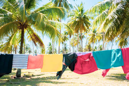 Childrenâs clothes hanging on the clothesline in a coconut garden at seaside on sunny summer. Soft focus on clothes.の写真素材