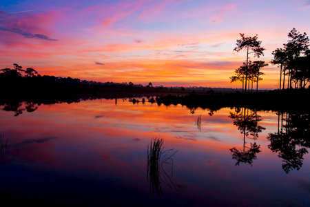 Scenery of a winter lake at dusk, colorful ripples clouds and sky reflection on the lake, dramatic sunset sky over the lake surrounded by pine forest. Phu Kradueng, Thailand.の写真素材