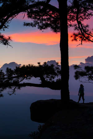 Hiker young woman stands on the edge of a cliff near an ancient pine tree and looks at mountain view during sunset. Holiday, vacations, tourism concepts. Silhouette.の写真素材
