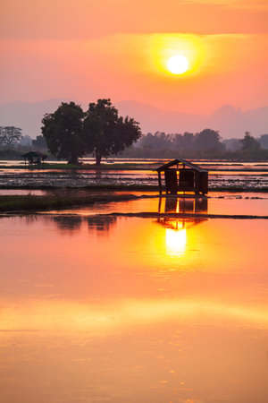 Traditional rural landscape with huts among rice paddy fields after harvest at sunset, mountains and forest in the backgrounds. Winter scene in North Thailand. Silhouette.の写真素材