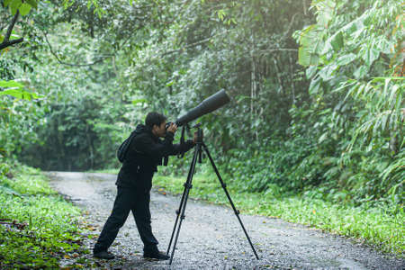 A professional wildlife photographer takes pictures with a digital camera and super-telephoto lens on a tripod in a jungle. Focus on the lens.の写真素材