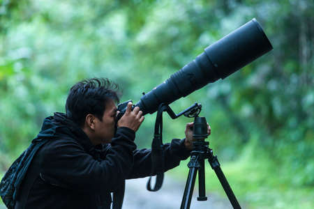 A professional wildlife photographer takes pictures with a digital camera and super-telephoto lens on a tripod in a jungle. Focus on the lens.の写真素材