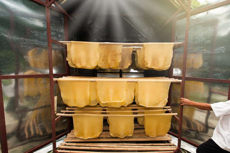 Rubber sheets hanging in a solar incubator rubber cabinet. Rubber oven. Agriculture, technology. Selective focus.の写真素材