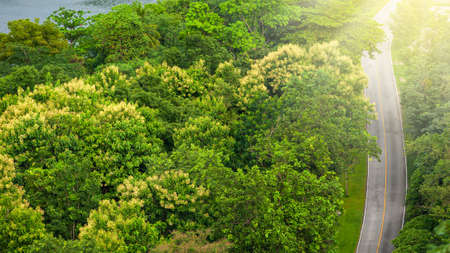 Aerial view of an empty curve forest road at sunrise, country road surrounded by green tropical forest near a lake. Travel, transportation concepts. Selective focus.の写真素材