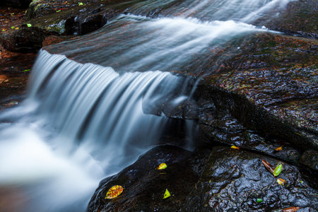 Close-up of a pure tropical waterfall in the rainy season, freshwater flowing over the edge of sedimentary sandstone, falling leaves on the rock. Long exposure.の写真素材