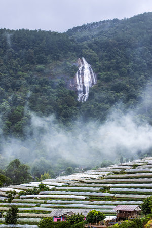 The landscape of a waterfall falling from a mountain with flowers terraces fields and a local village, soft fog drifting over a valley. Doi Inthanon, Chiang Mai, Thailand.の写真素材