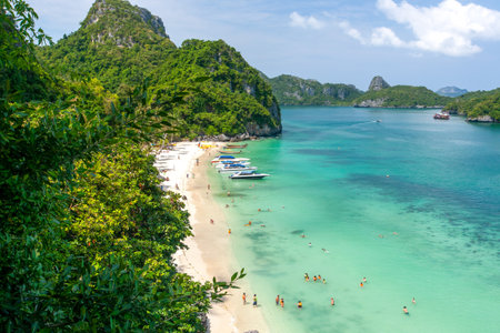 Aerial view of Koh Ang Thong Island on a sunny summer, tourists relaxing, sunbathing on the beach, and snorkeling in the blue sea. Mu Koh Ang Thong National Park, Thailand.の写真素材