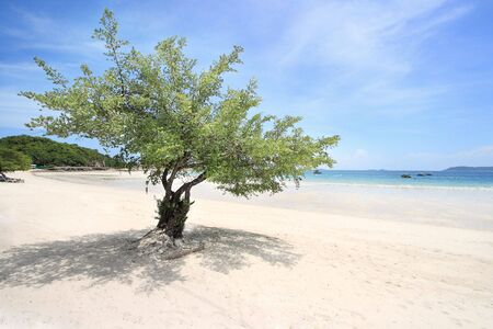 Koh larn island ,Pattaya city of Thailandの写真素材