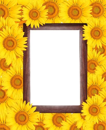 Frame surrounded by sunflowerの写真素材
