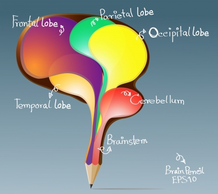 Creative pencil concept of the human bubbles brain illustrationのイラスト素材