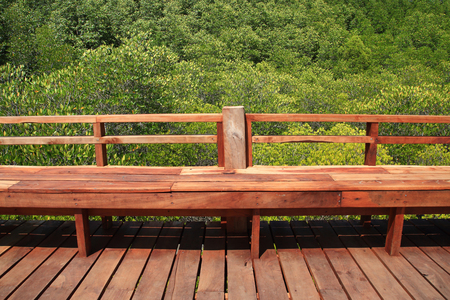beautiful brown wooden seat in green mangrove forest is environment nature outdoor background の写真素材