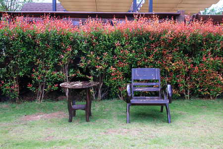 brown chair retro  and red tree in restaurant on nature background outdoor.の写真素材