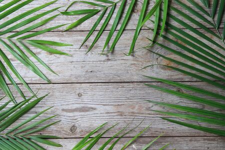 Tropical leaves on old wood floor for text. Summer background concept.の写真素材