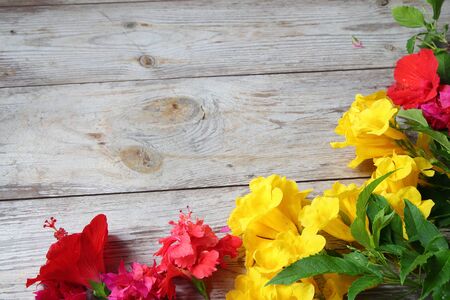 Colorful florals placed on the table old wooden backgroundの写真素材