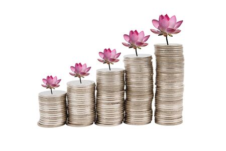 Lotus flowers and coins isolated on white background.の写真素材