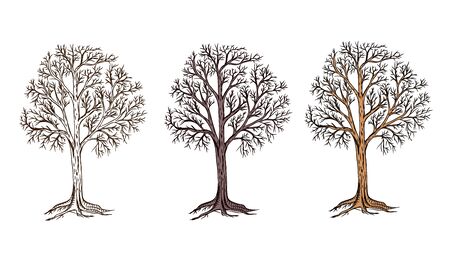 Hand sketched tree dry symbol vector illustration graphic styleのイラスト素材