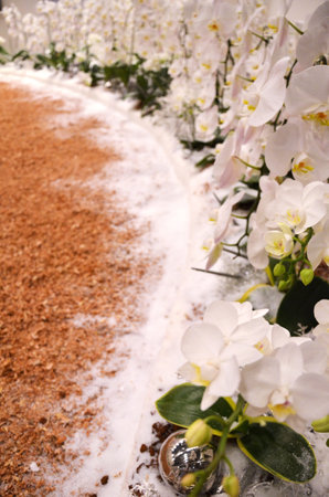 Singapore Garden Festival, 13 July 2012のeditorial素材