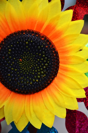 Sunflower Abstract の写真素材