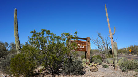 The Arizona-Sonora Desert Museum is a zoo, aquarium, botanical garden, natural history museum, publisher, and art gallery founded in 1952.のeditorial素材