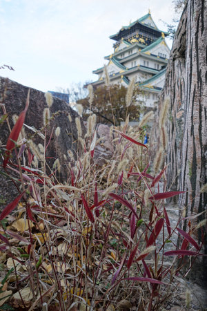 OSAKA, JAPAN - DECEMBER 04 2014: The view of Osaka Castle on December 04, 2014. Osaka Castle was first built in 1583 on the former site of the Ishiyama Honganji Temple.のeditorial素材