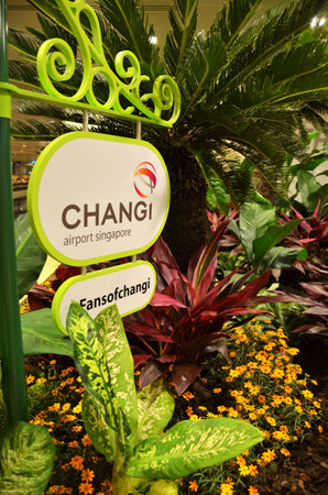 SINGAPORE - MAR 25: Sign of Singapore Changi Airport in Terminal 1 on March 25, 2015 in Singapore. Changi Airport is the main airport in Singapore. A major aviation hub in Southeast Asiaのeditorial素材