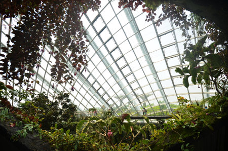 SINGAPORE- SEP 5: View of Cloud Forest at Gardens by the Bay on September 5, 2015. in Singapore. Gardens by the Bay is a park spanning 101 hectares of reclaimed land.のeditorial素材