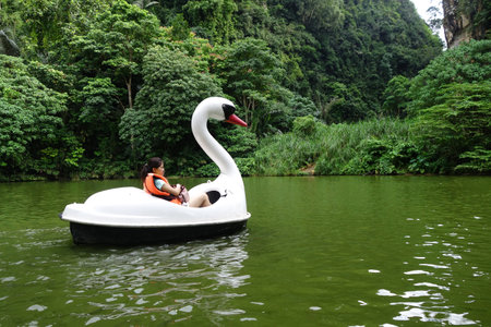 IPOH, MALAYSIA - 25 NOV, 2015: Swan Pedal in the pond of the park in Ipoh, Malaysiaのeditorial素材