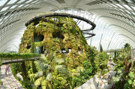 SINGAPORE - DEC 27: Cloud Forest at Gardens by the Bay in Singapore. Spanning 101 hectares of...