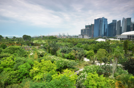 SINGAPORE - MAY 26, 2016:  Singapore skyline view from tropical park at Gardens by the Bay.  Built in 2012 to transform Singapore to garden city.のeditorial素材
