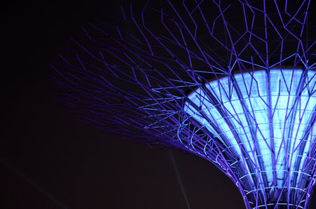 Night view of the Supertree Grove in the Garden by the Bay with Marina Bay Sands background in Singaporeのeditorial素材