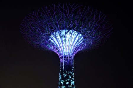 Night view of the Supertree Grove in the Garden by the Bay with Marina Bay Sands background in Singaporeのeditorial素材