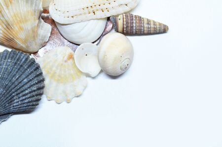 Sea shells scraped together, isolated on white background