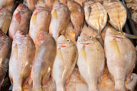 Fresh fishes just caught from sea are being sold at a market in Kota Kinabalu, Sabah