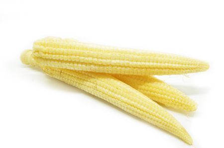Baby corn cobs isolated on white backgroundの写真素材