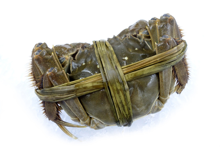 Raw shanghai hairy crab isolated on white backgroundの写真素材